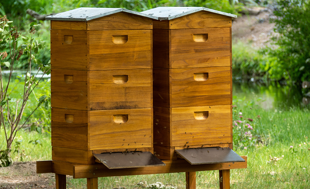 Bee boxes in a garden