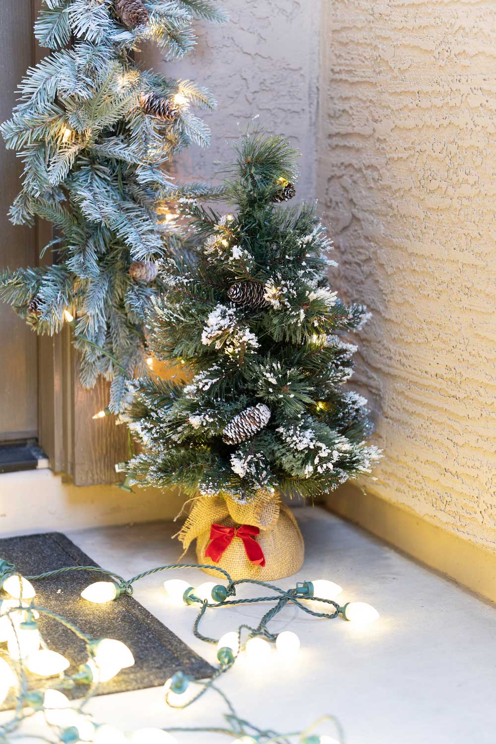 A front porch is styled with illuminated garland, a string of lights and a small, lit tree shot in corner