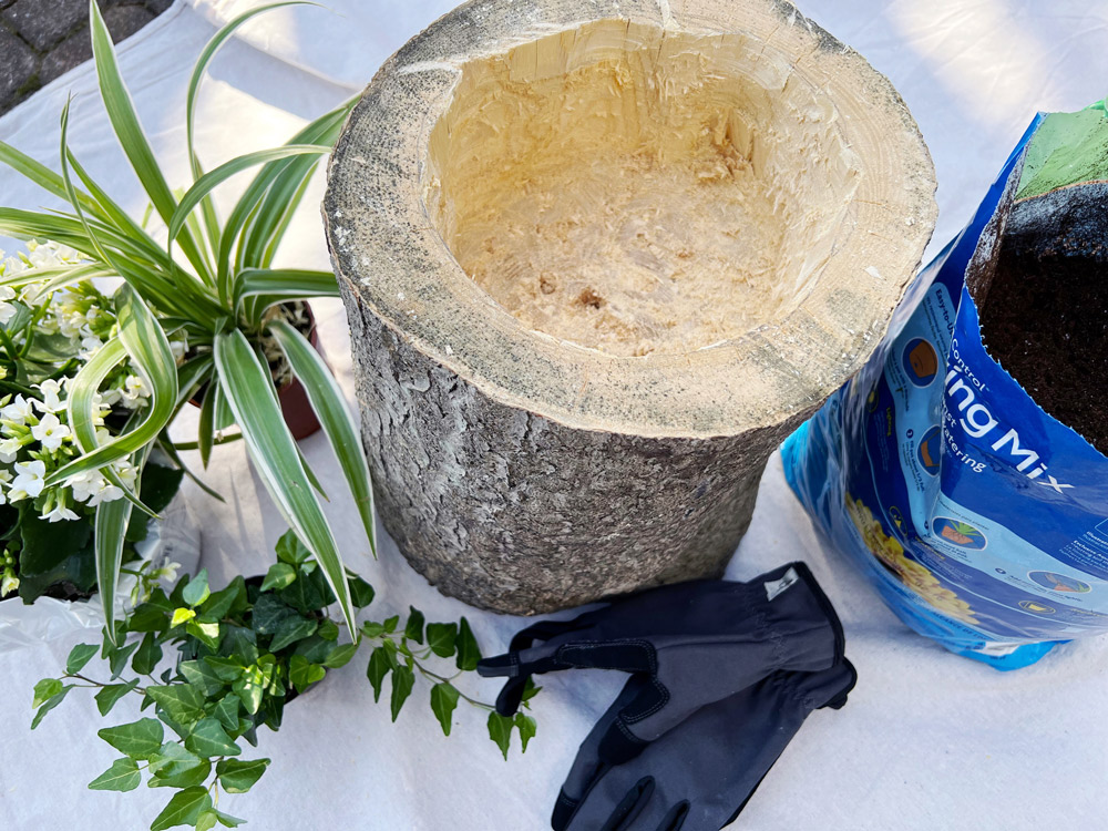 Plants, soil, and gardening gloves surrounding a hollowed out tree stump. Plants, soil, and gardening gloves surrounding a hollowed out tree stump.