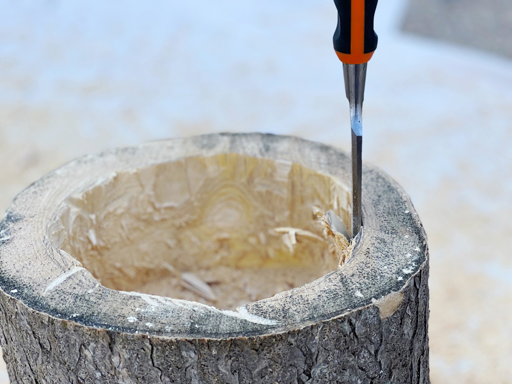 A chisel being used on the sides of a large hole in a tree stump. A chisel being used on the sides of a large hole in a tree stump.