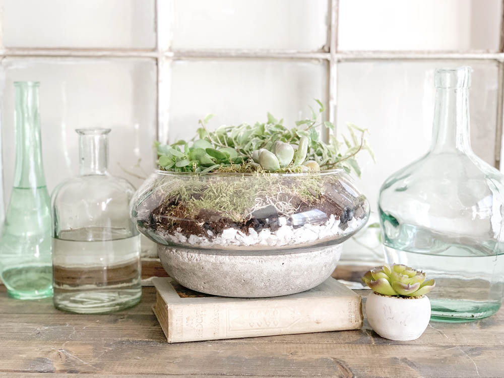 Finished terrarium surrounded by glass bottles of water shot from center