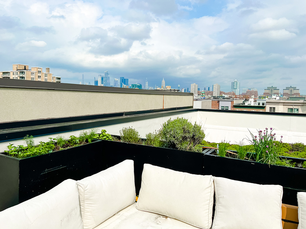 Rooftop with sky view, patio furniture, and bright, green herbs.