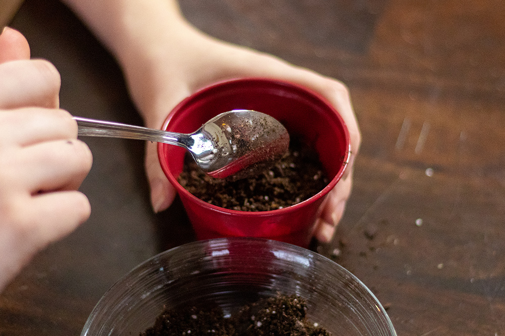 Person scooping soil into cup