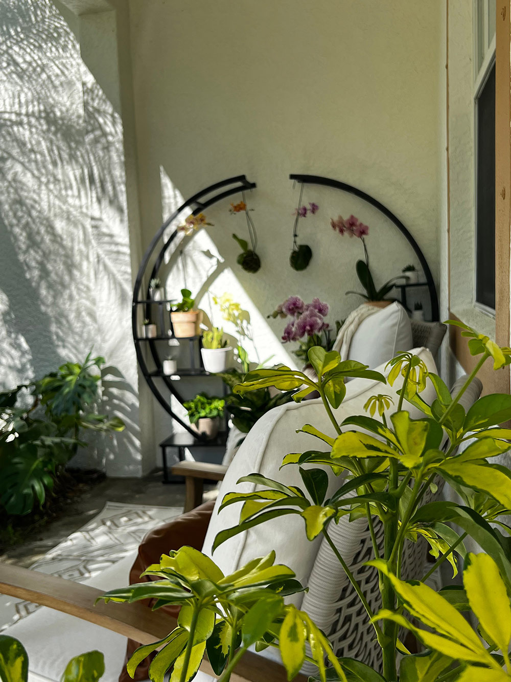 Up close focus on green plant with seating area and plant wall in background. Up close focus on green plant with seating area and plant wall in background.