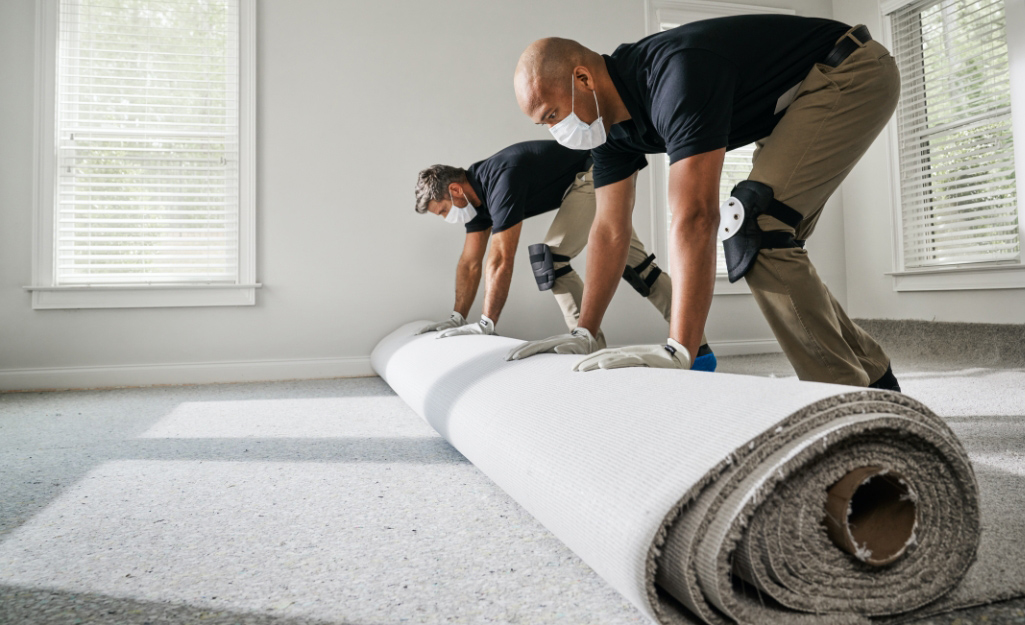 Two people install broadloom carpet.