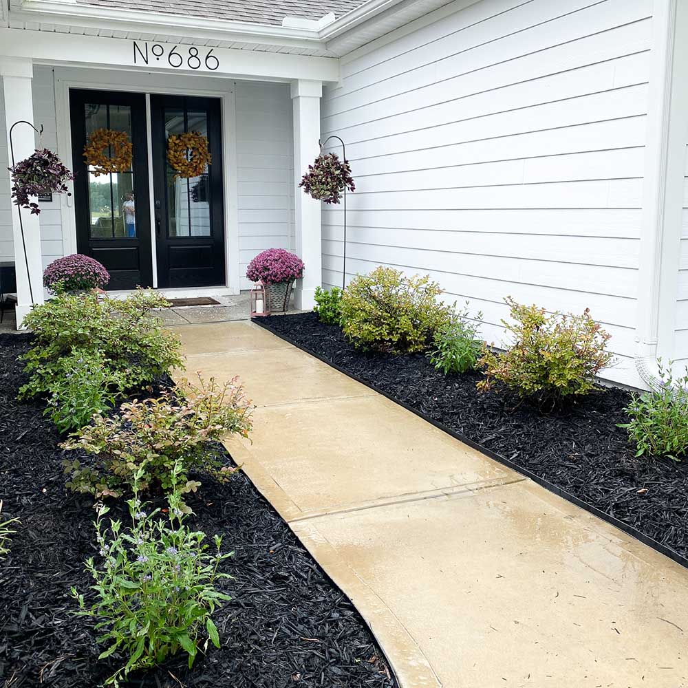 the front walkway of home with plants
