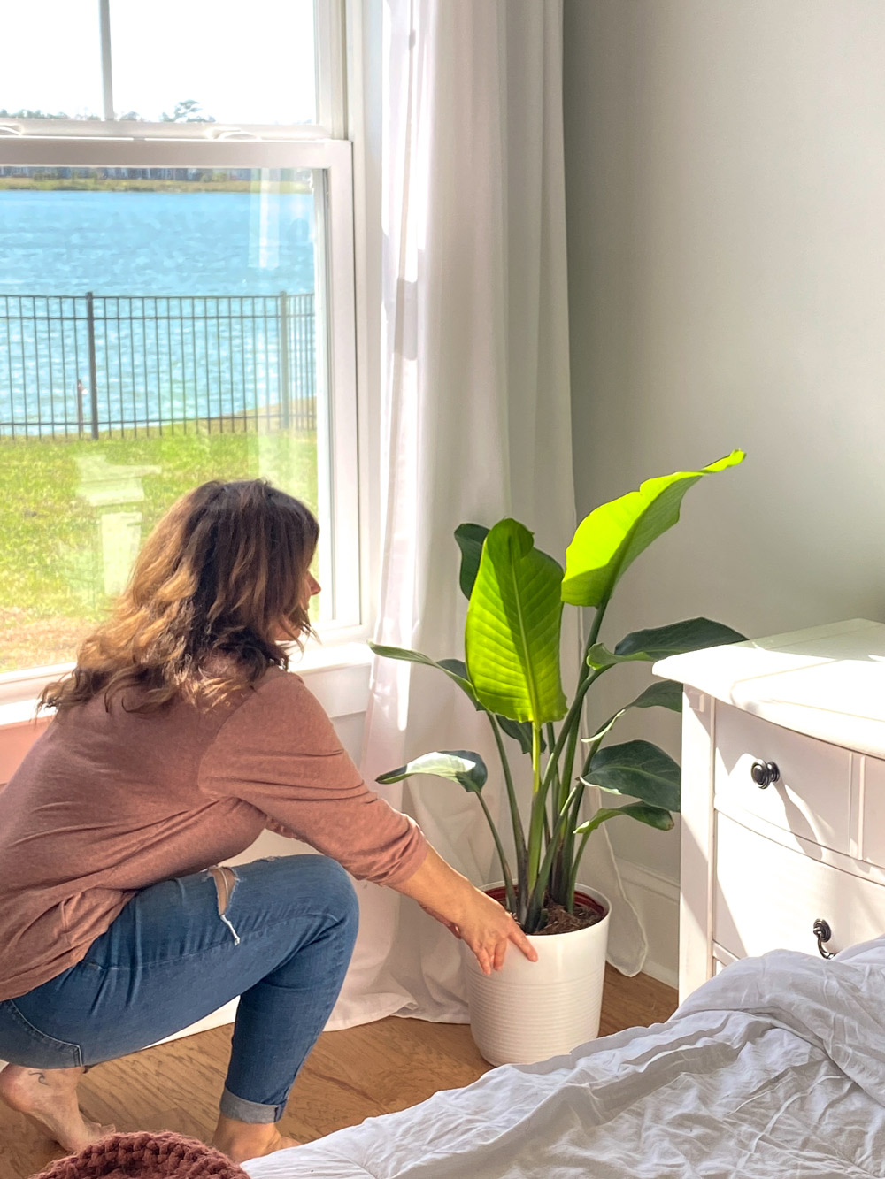 Woman placing a potted plant in the corner of a room.