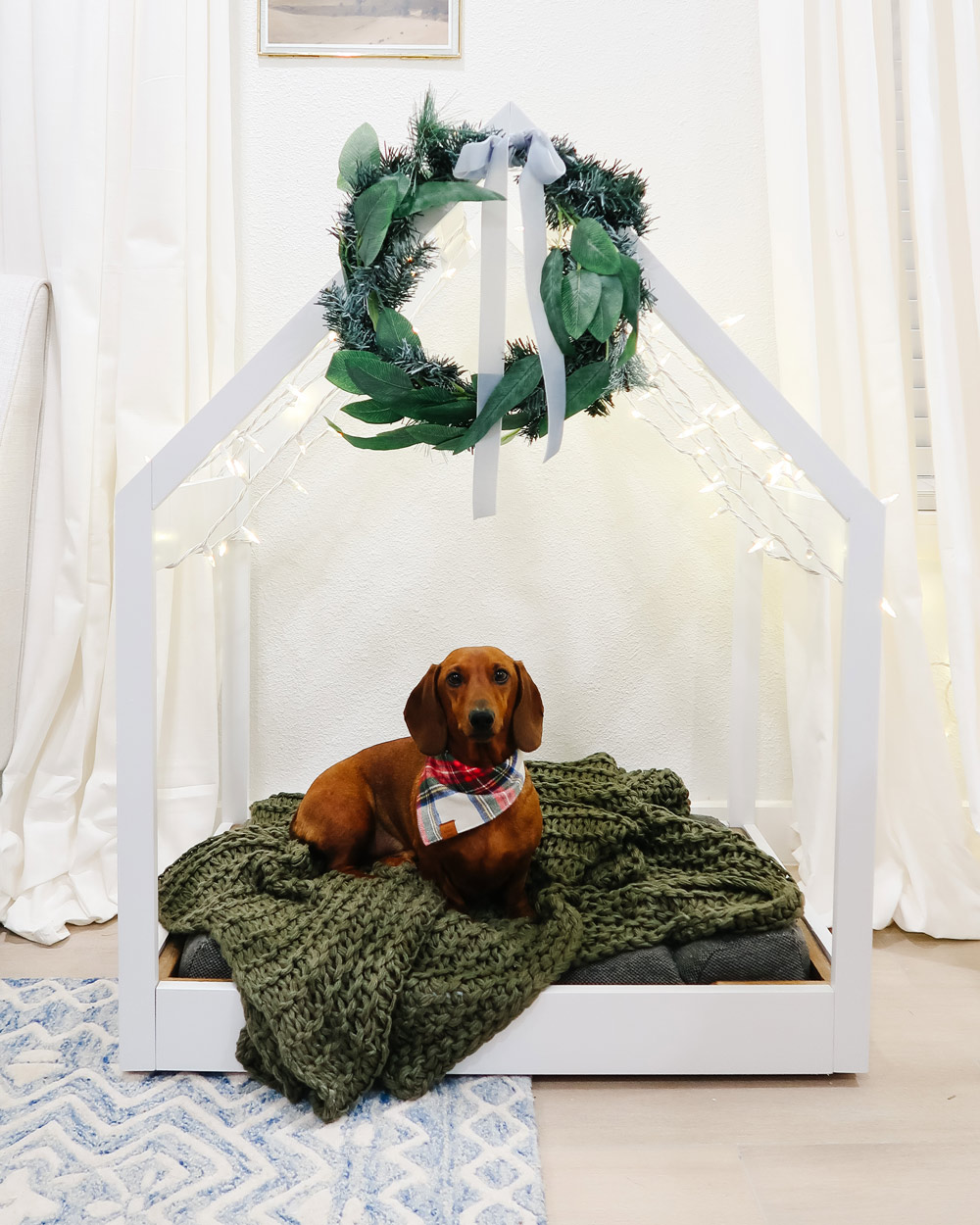 Dog laying in a DIY dog bed decorated with a wreath, lights, and blanket.