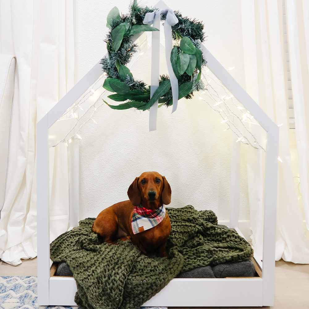 Dog laying in a DIY dog bed decorated with a wreath, lights, and blanket.