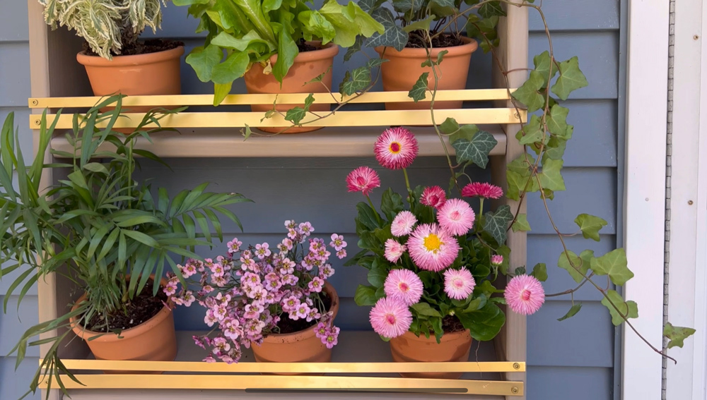 A close-up of a plant bookcase with plants added.