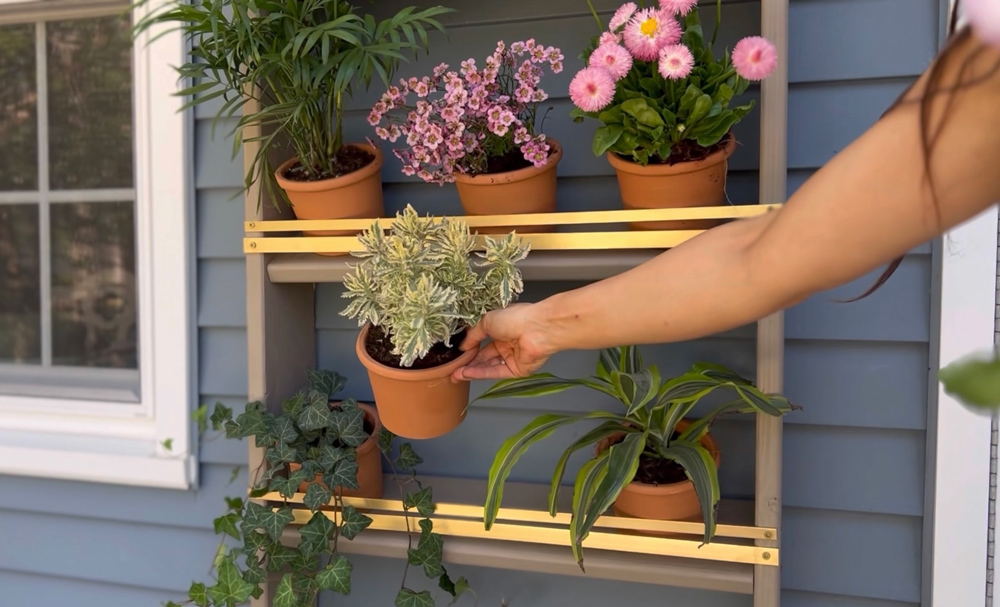 A woman adding a potted plant to a plant bookshelf.