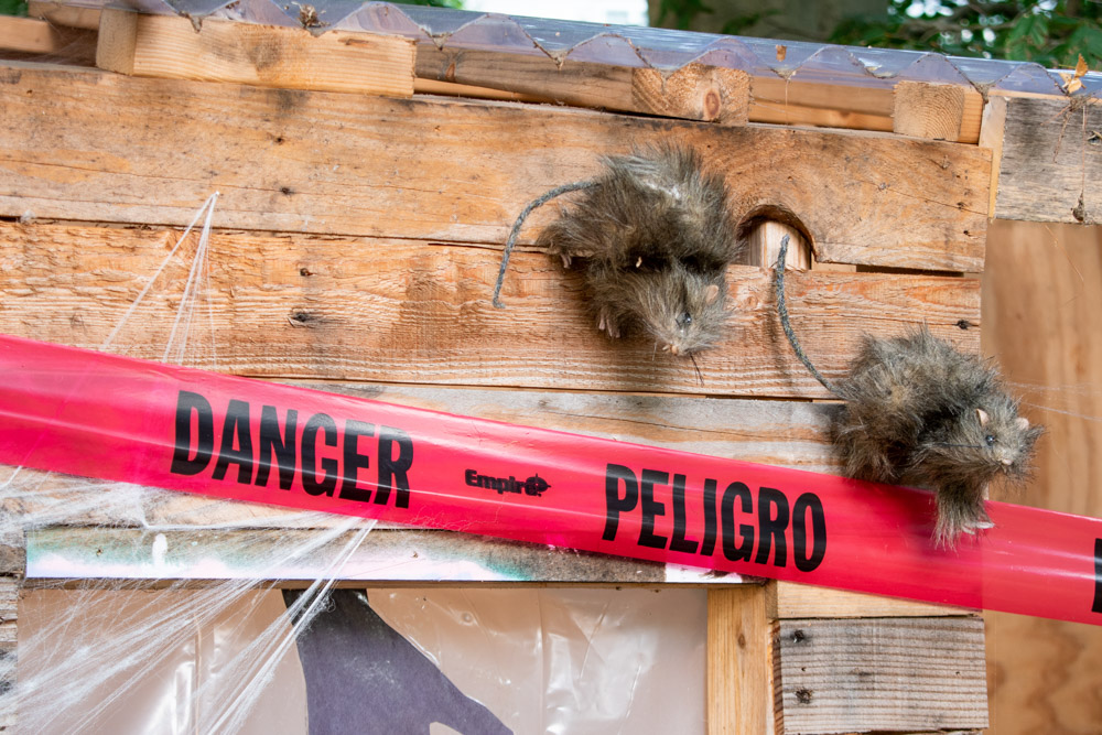 A pair of furry Halloween rats scurry around near danger tape.