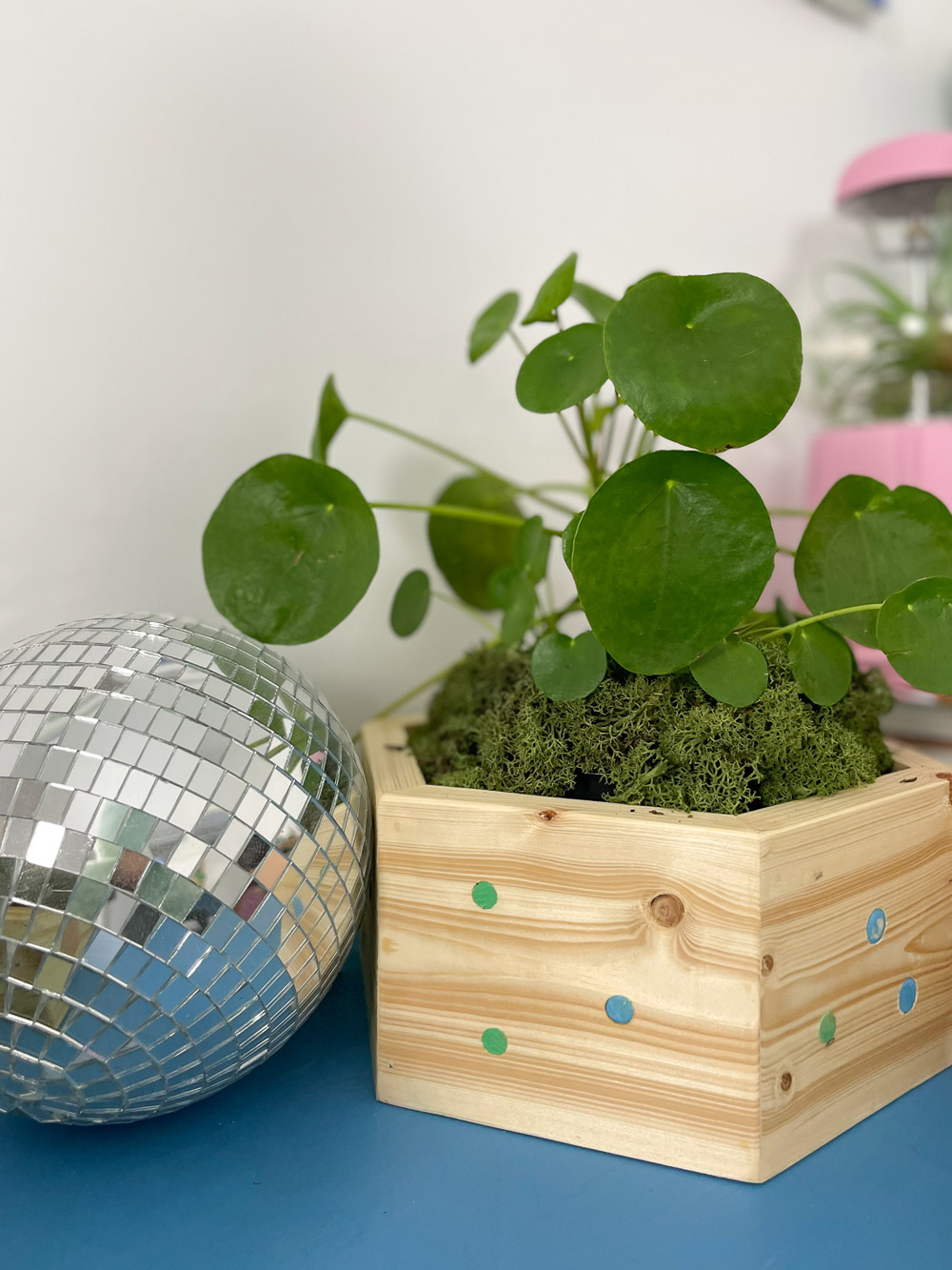 A finished DIY Hexagonal planter next to a small disco ball on a table.