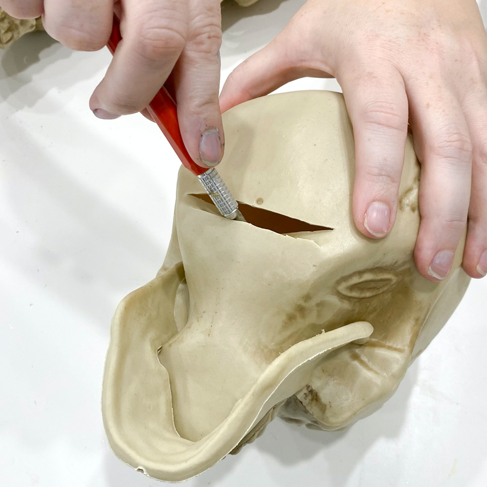 Cutting a slit into a decorating skull.