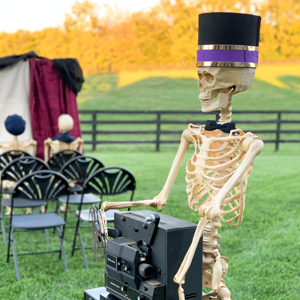 Skeleton placed in front of the projector.