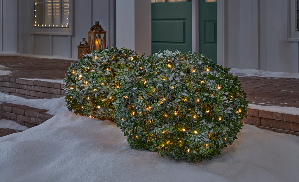 Net lights for holiday decorating at your home.