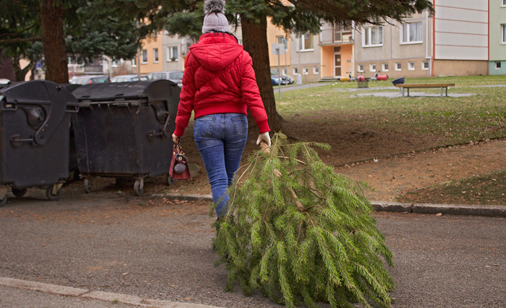 Christmas Tree Recycling