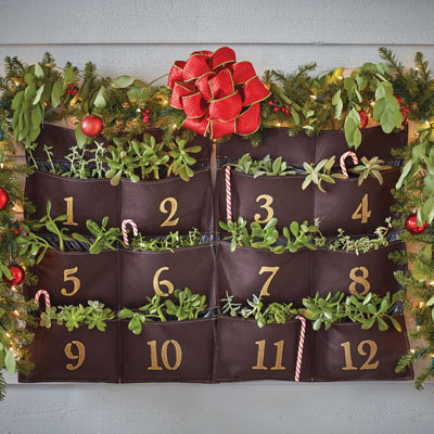 How to Make a Christmas Vertical Garden