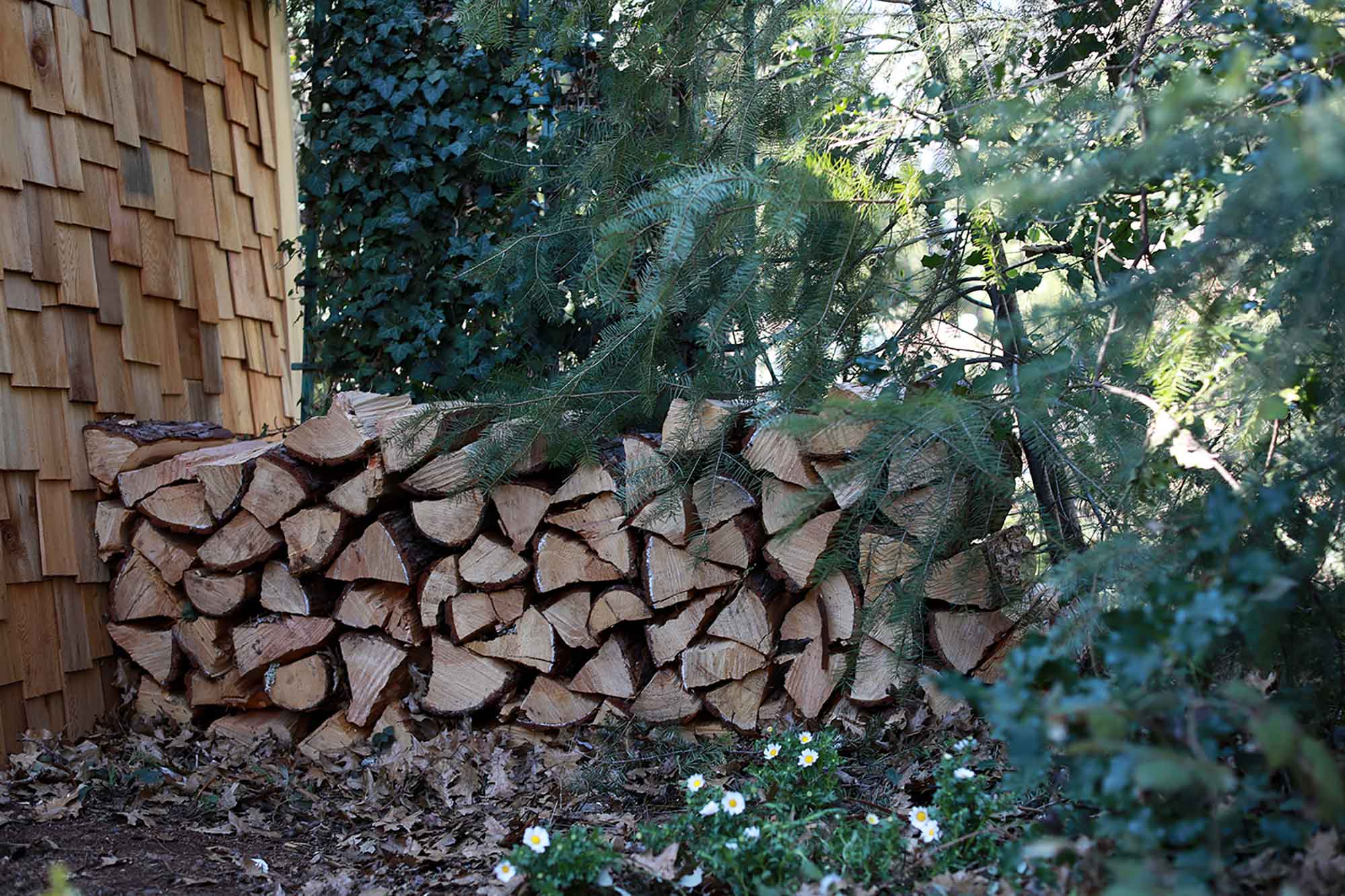logs stacked up logs stacked up