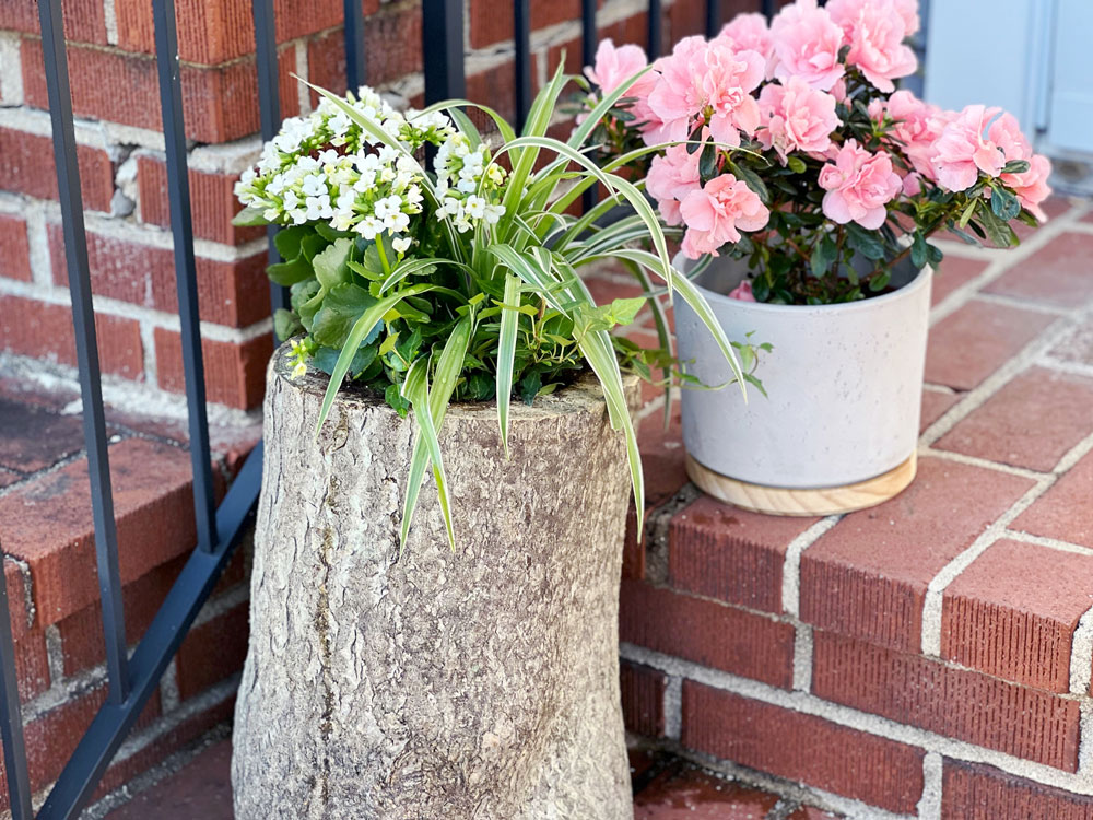 Two tree stump planters with plants on a set of porch steps. Two tree stump planters with plants on a set of porch steps.