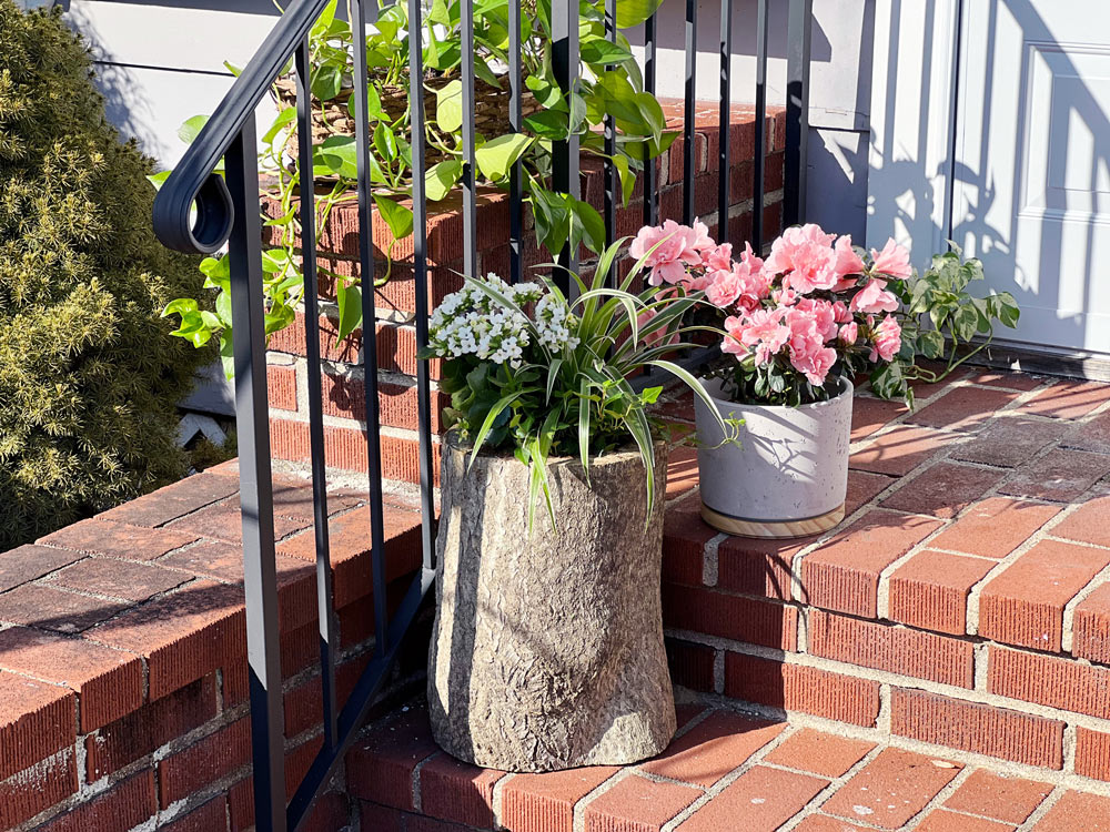 Two tree stump planters with plants on a set of porch steps. Two tree stump planters with plants on a set of porch steps.