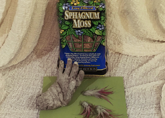 Decorate Hypertufa Hands