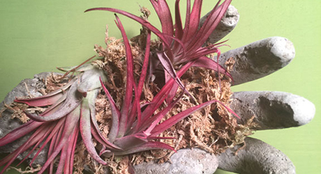 Enjoy Your Eye-Catching Hypertufa