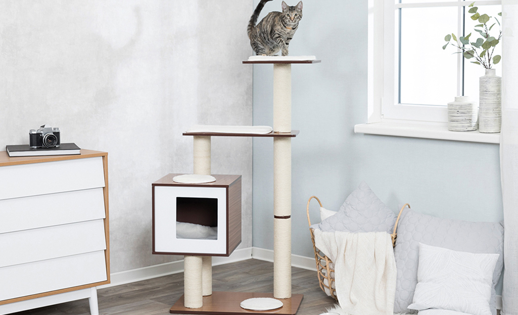 Cat on top of a DIY cat tree tower with multiple levels.