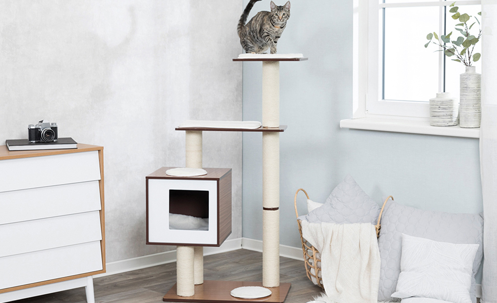 Build your own cat condo best sale