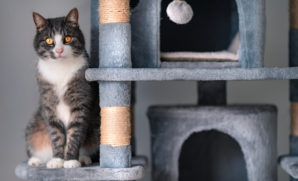 Built in outlet cat tree