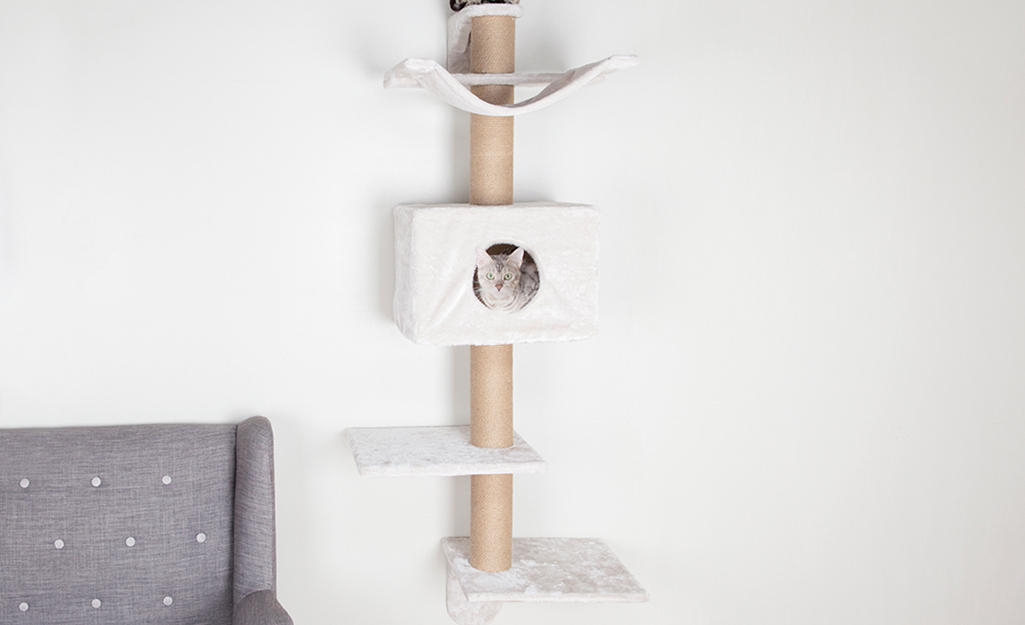 Cats using a DIY wall mounted cat tree with a hammock, cat cube and multiple platforms.