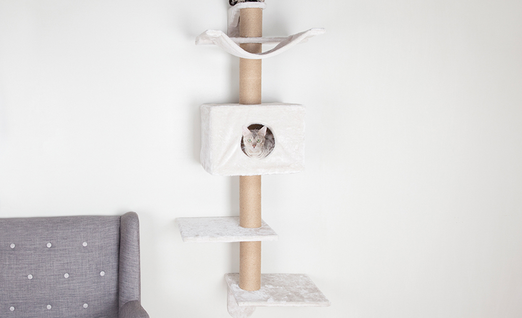 Cat pole diy best sale