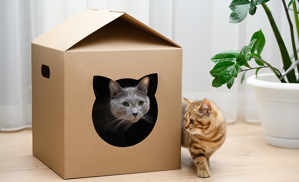 A DIY cardboard cat house with a large entrance.