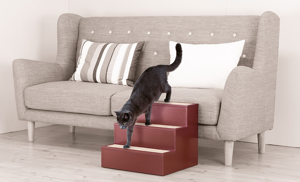 Cat using DIY cat steps to climb down from a sofa.