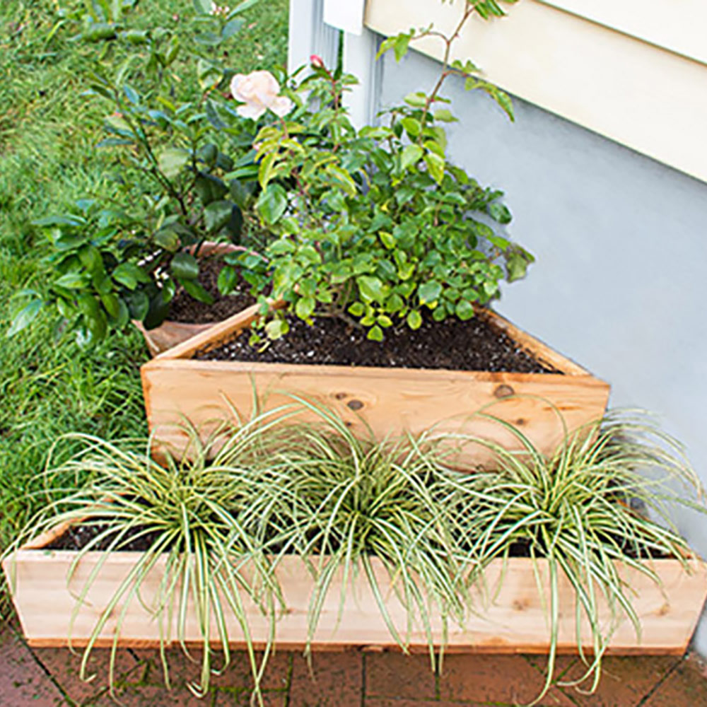 A DIY Corner Planter placed outside in a patio corner. A DIY Corner Planter placed outside in a patio corner.