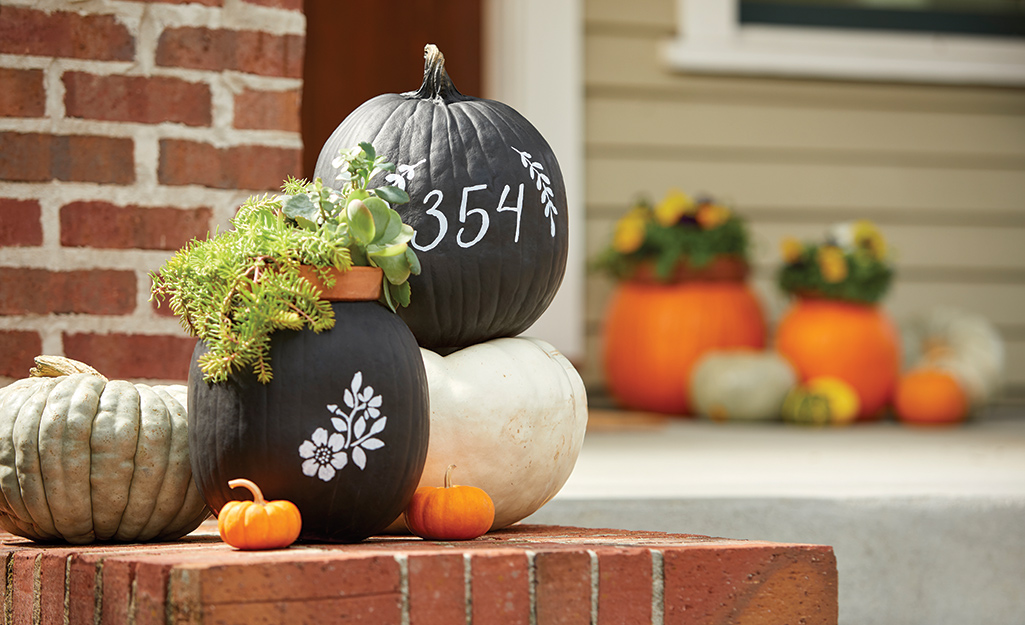 Fresh pumpkins painted with black paint.