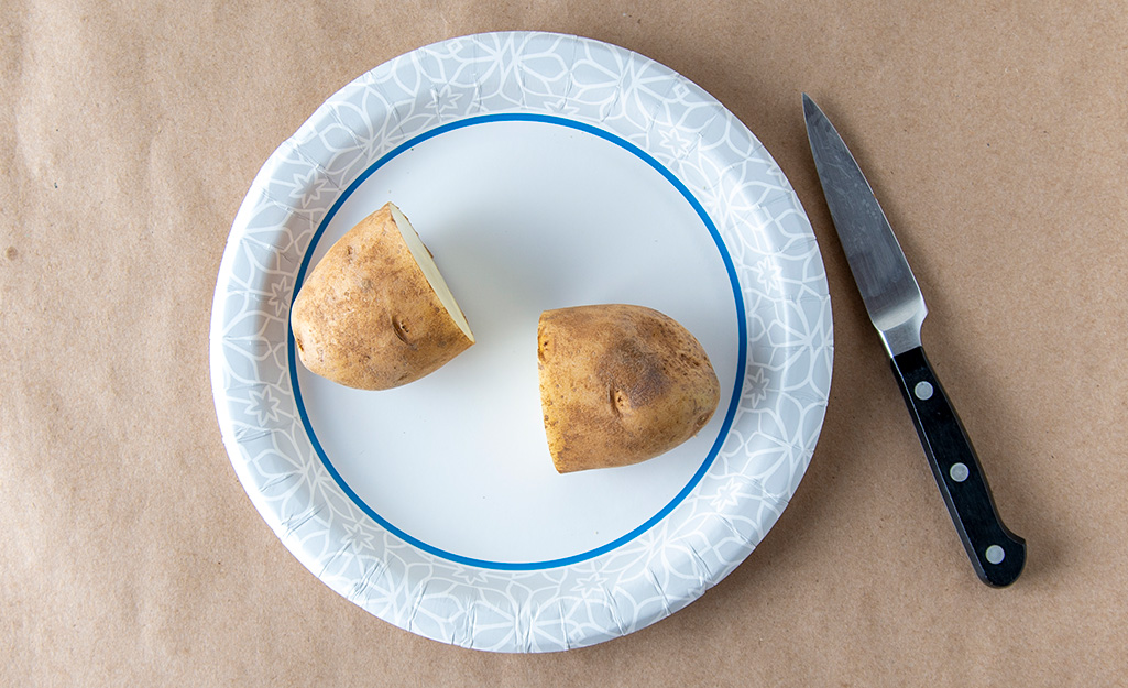 Two halves of a cut potato sit on a paper plate next to a knife.