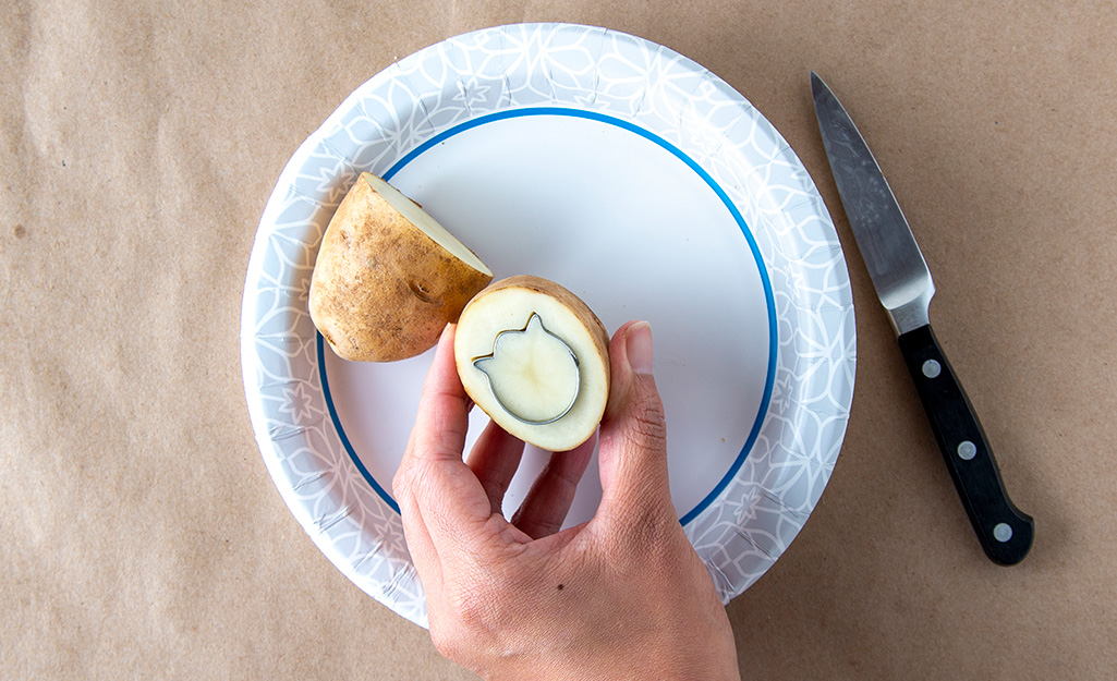 A person holds half of a potato with a cookie cutter inserted into it.