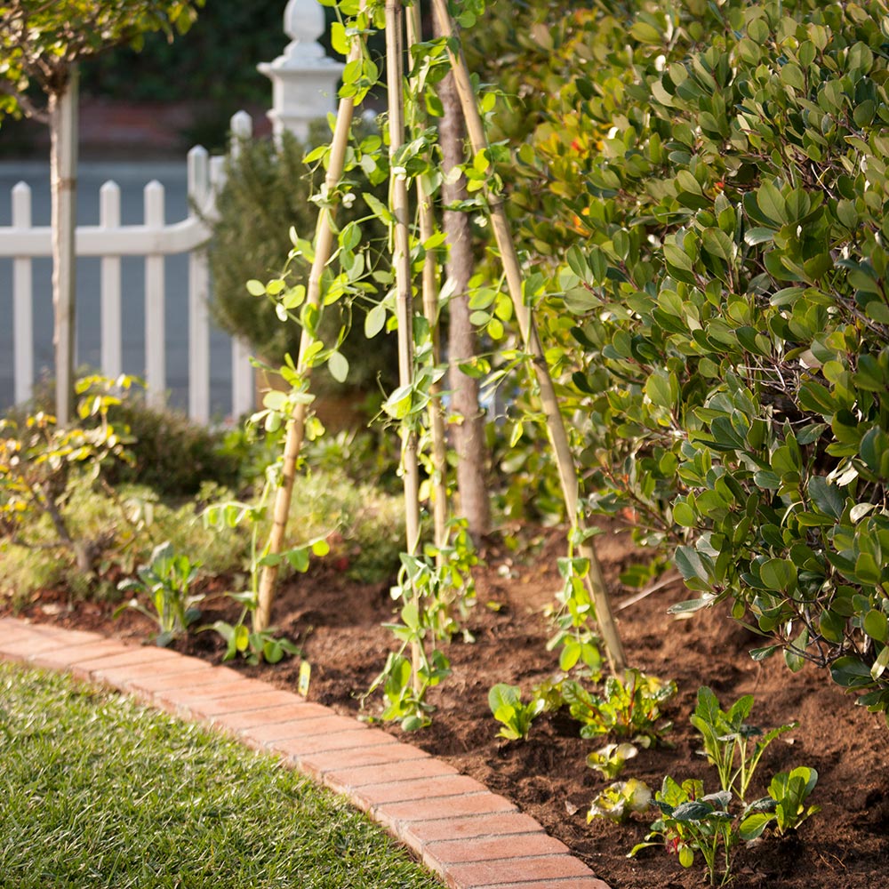 Diy Veggie Garden Trellis The Home Depot