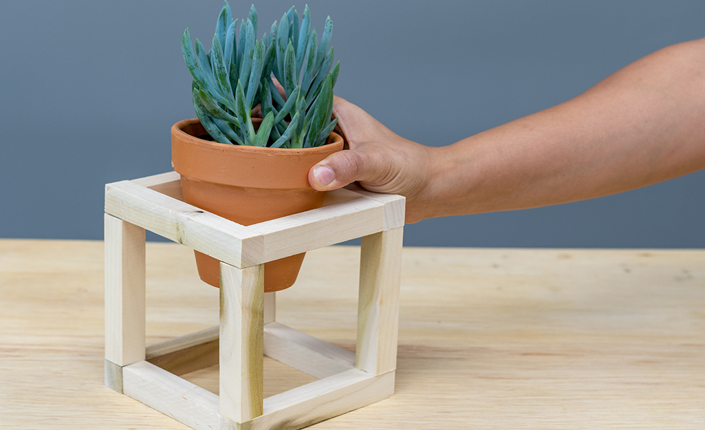 A person putting a small potted plant into a DIY plant hanger.