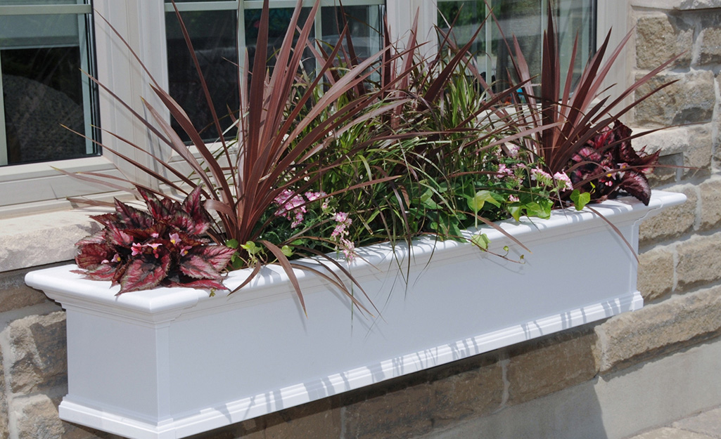 A variety of plants grow in a white window box installed on the brick wall of a home.