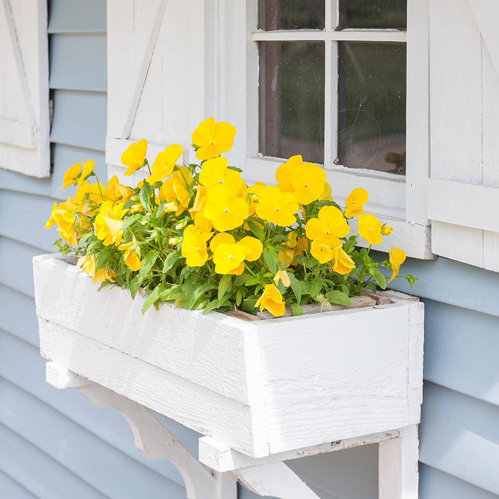 Natural Slate Window Troughs Boxes 