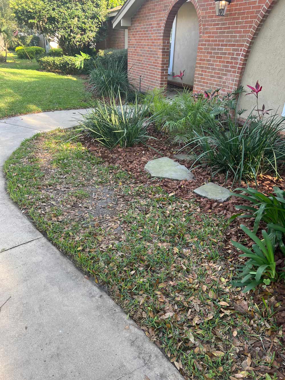 Front yard with pavement walkway, grass with brown leaves on it.