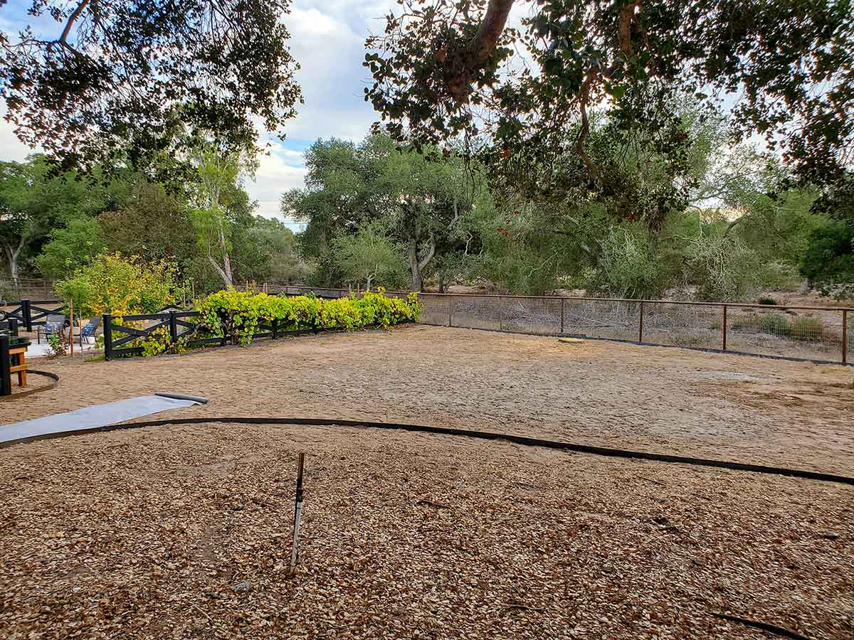 backyard full of dirt and mulch backyard full of dirt and mulch