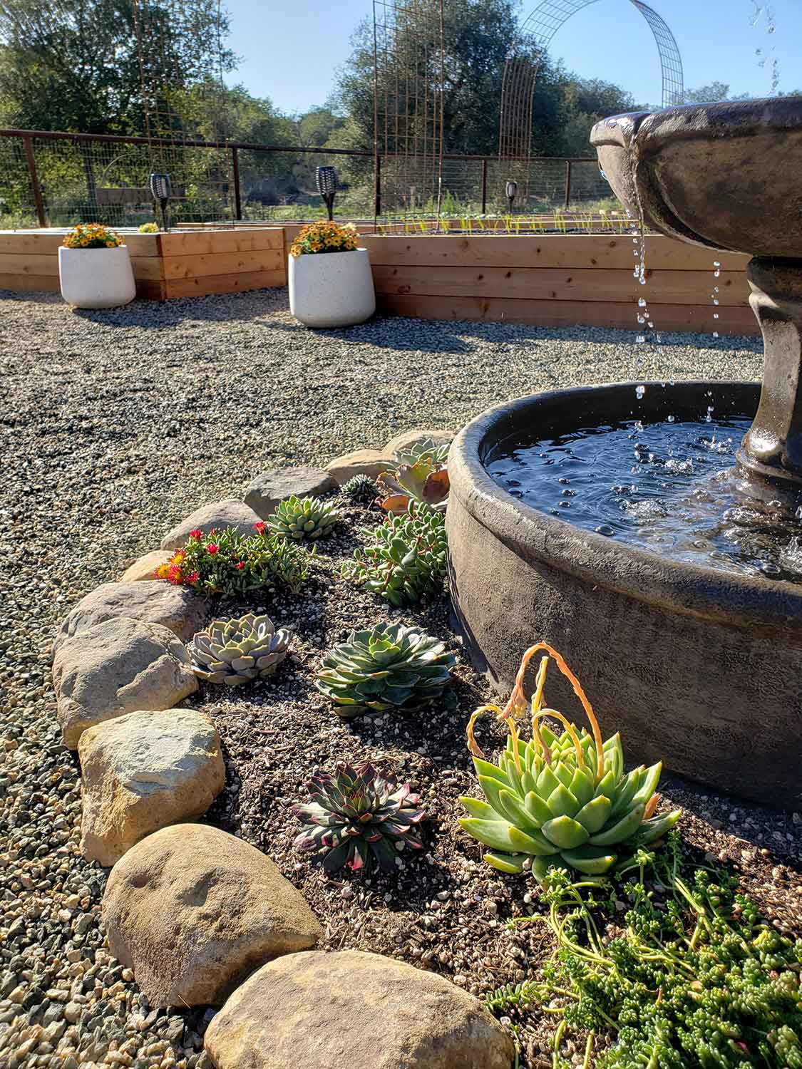 fountain surrounded by plants fountain surrounded by plants