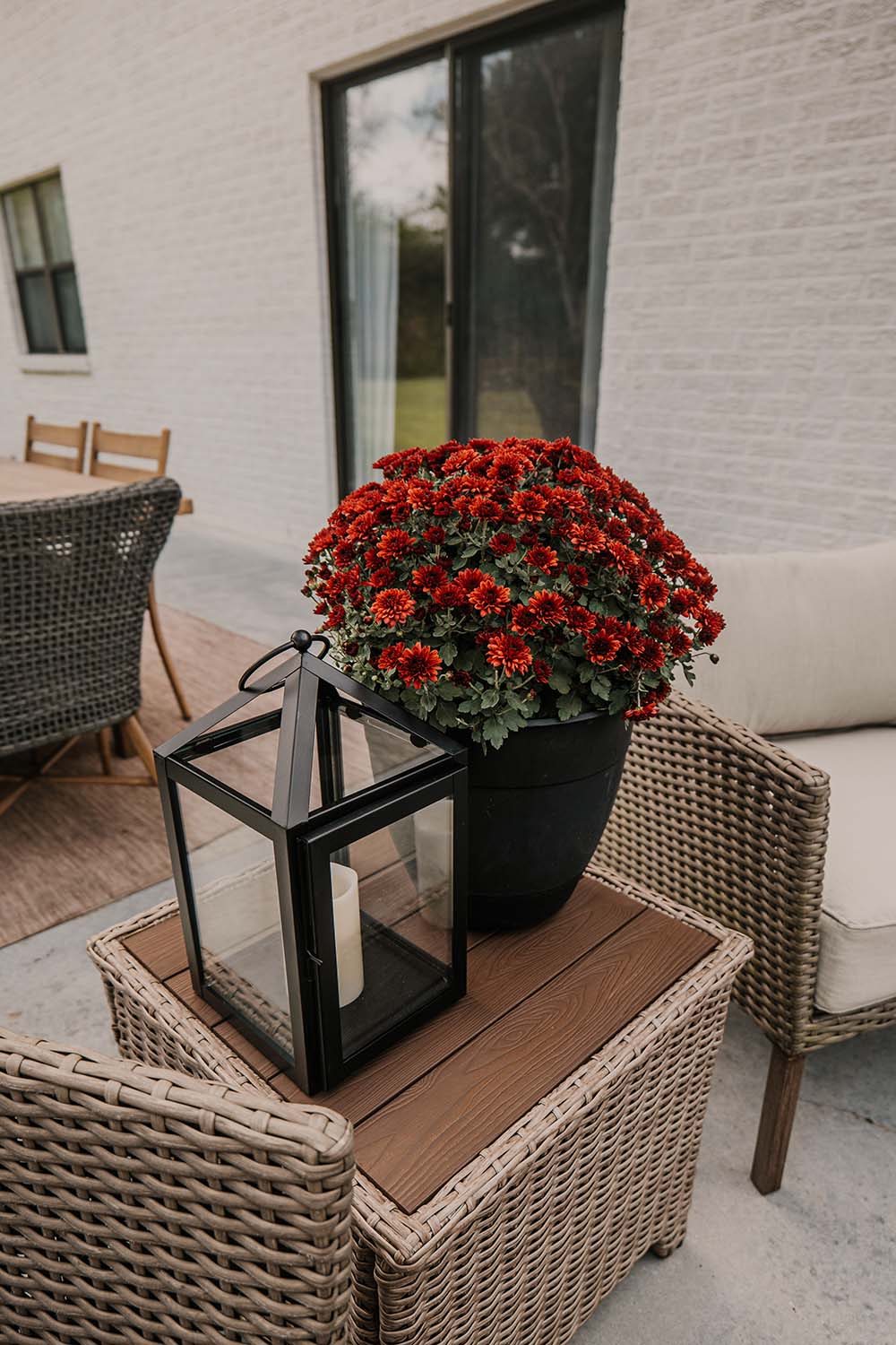 Potted red flowers sitting on a small wicker table. Potted red flowers sitting on a small wicker table.