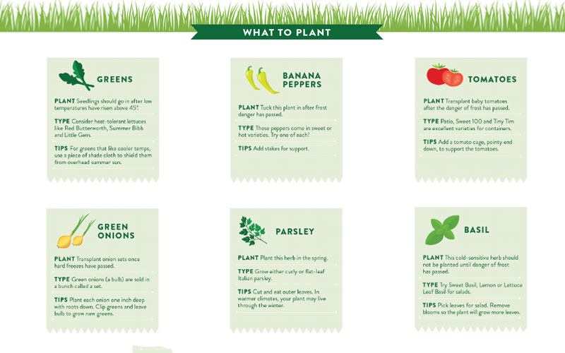 What to Plant