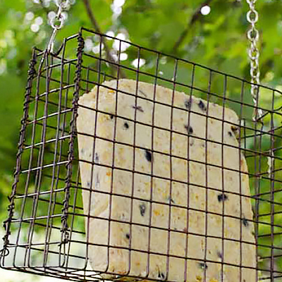 Hanging Metal Suet Bird Feeder One Cake Wire Basket With Chain Hanger Dark Gree 