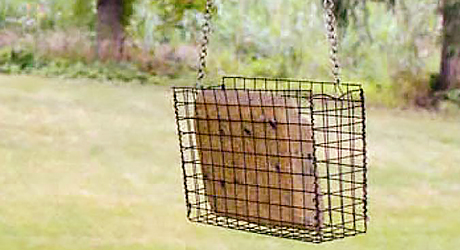 How To Make A Suet Bird Feeder The Home Depot