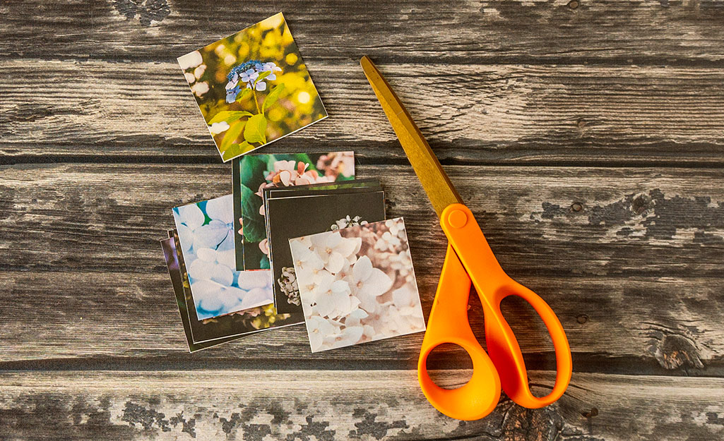 Pieces of square paper and scissors on a table.